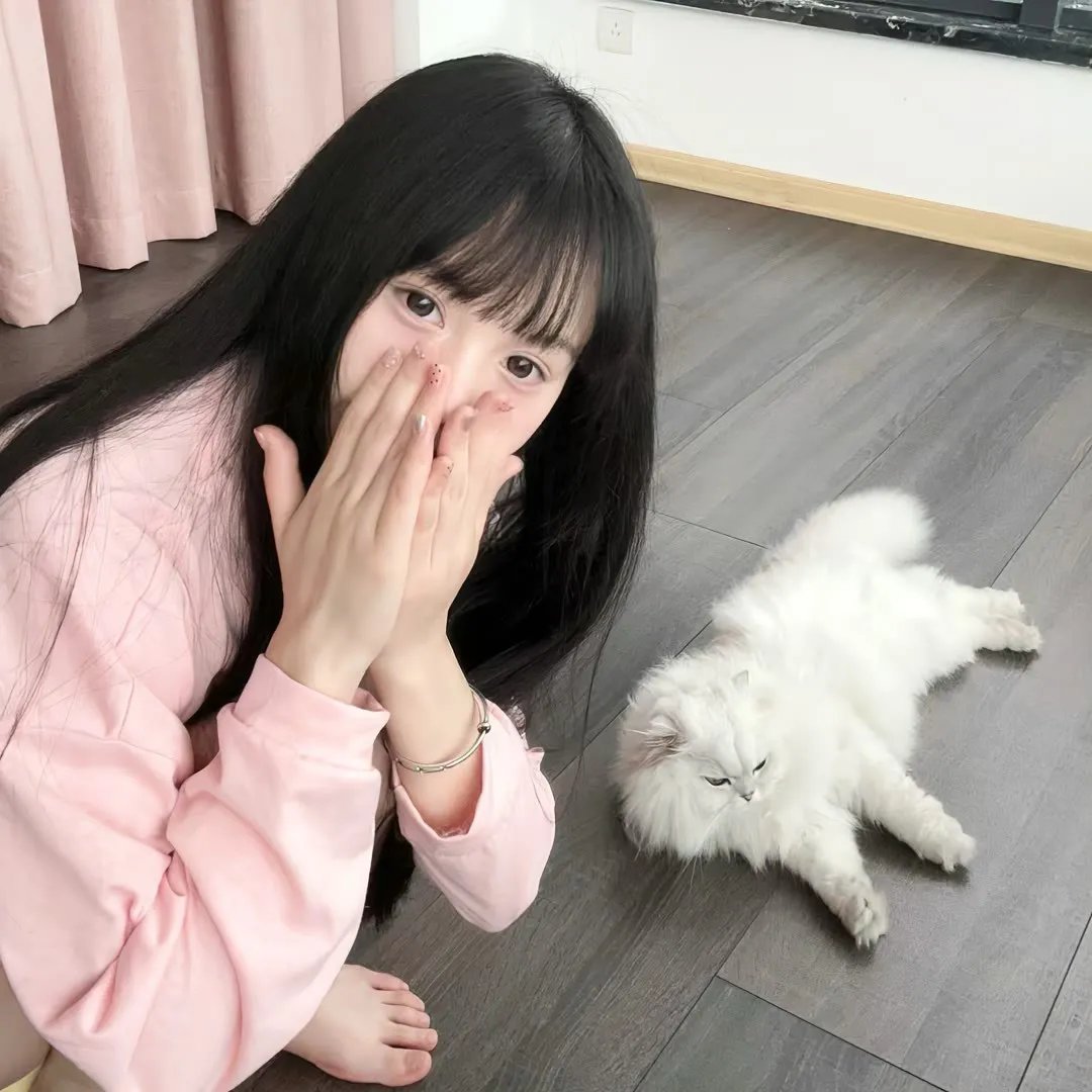 觅法奇程 在线观看