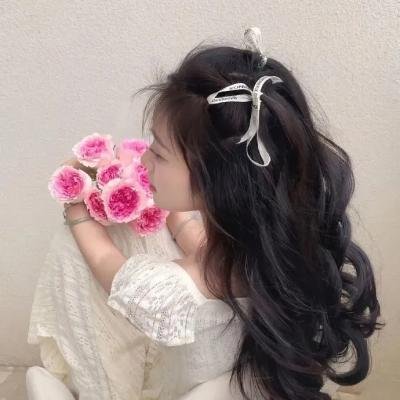 公社 在线观看